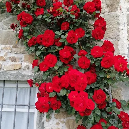 La Casa In Valli 35 別荘 *