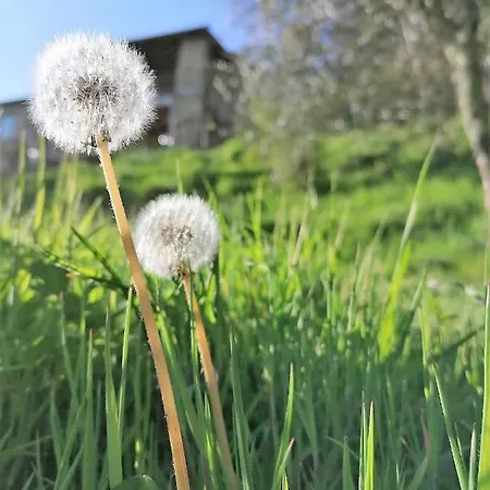 La Casa In Valli 35 Feriehus Bagni di Lucca
