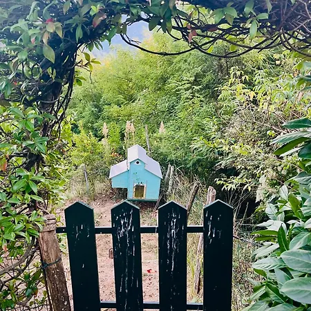 La Casa In Valli 35 別荘