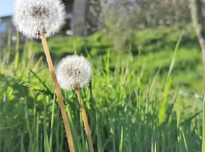 La Casa In Valli 35 Prázdninový dům Bagni di Lucca